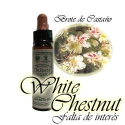 White Chestnut - Brote de Castaño 10 ml.