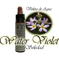Water Violet - Violeta de Agua 10 ml.
