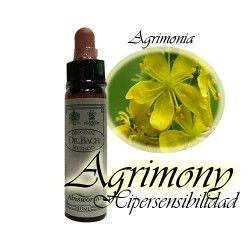 Agrimony - Agrimonia 10 ml.