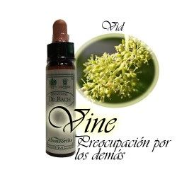 Vine - Vid 10 ml.