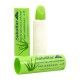 PROTECTOR LABIAL ALOE VERA F/15 SALUDFAR