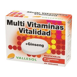 VALLESOL MULTIVIT + GINSENG 24C