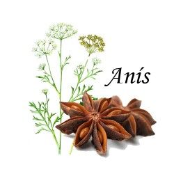 Anís Verde Caja 20 Bolsitas