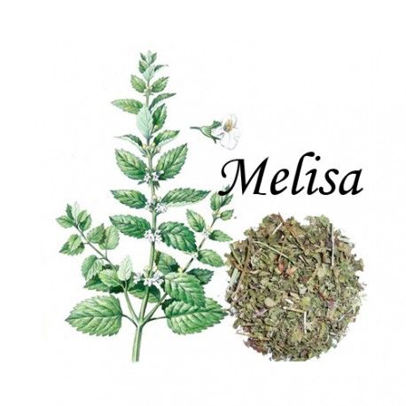 Melisa Caja 20 Bolsitas Melisa Caja 20 Bolsitas