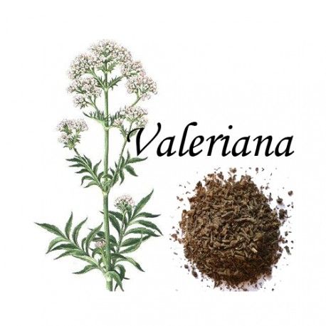 Valeriana Caja 20 Bolsitas Valeriana Caja 20 Bolsitas